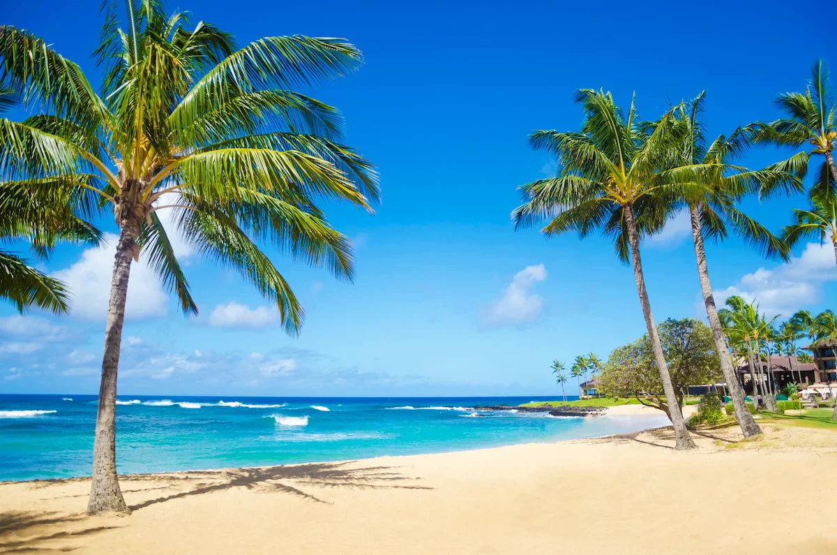 What is Hawaiian Style Called? Understanding the Authentic Name of Hawaii's Iconic Fashion