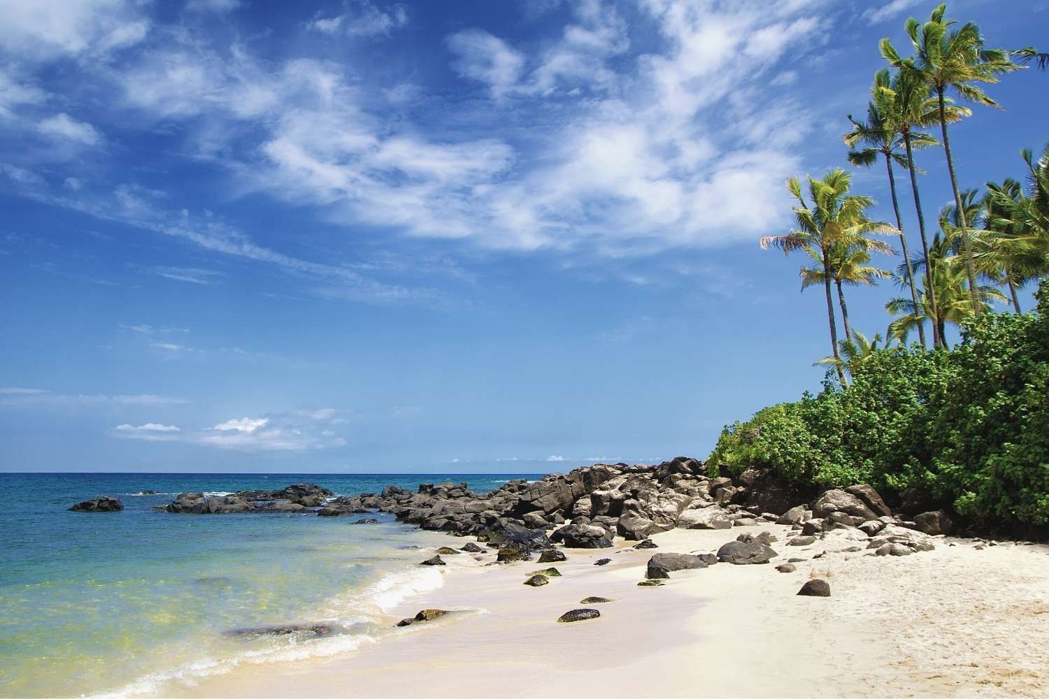 10 Things You Didn't Know About Hawaiian Shirts