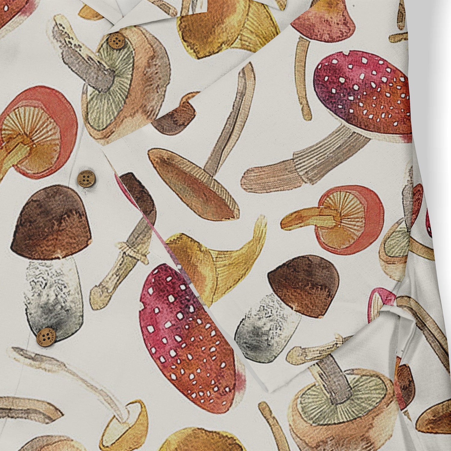 Mushroom Medley