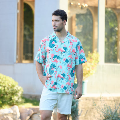 Flamingo Paradise