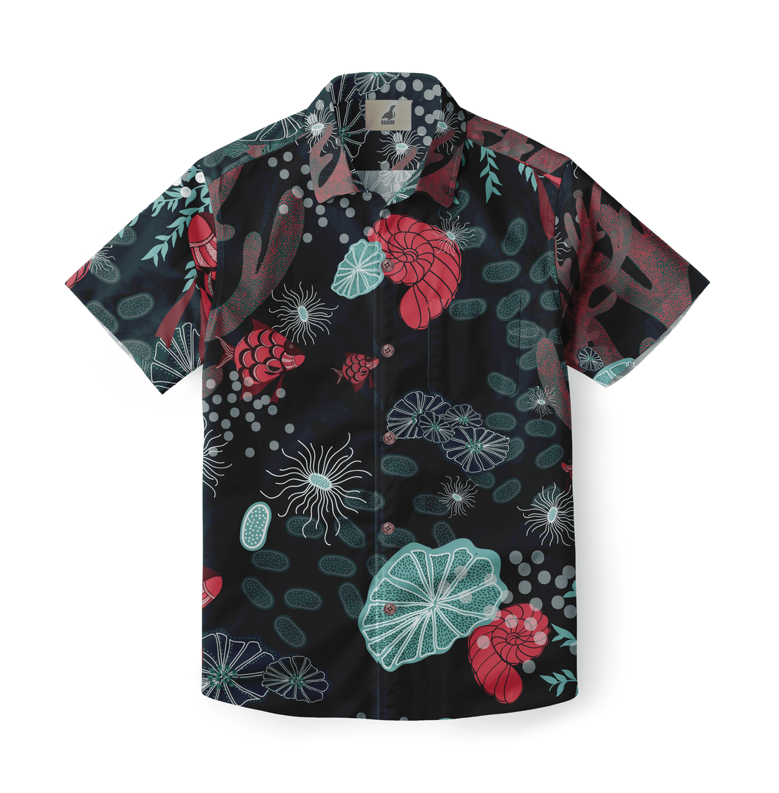 Coral Drift